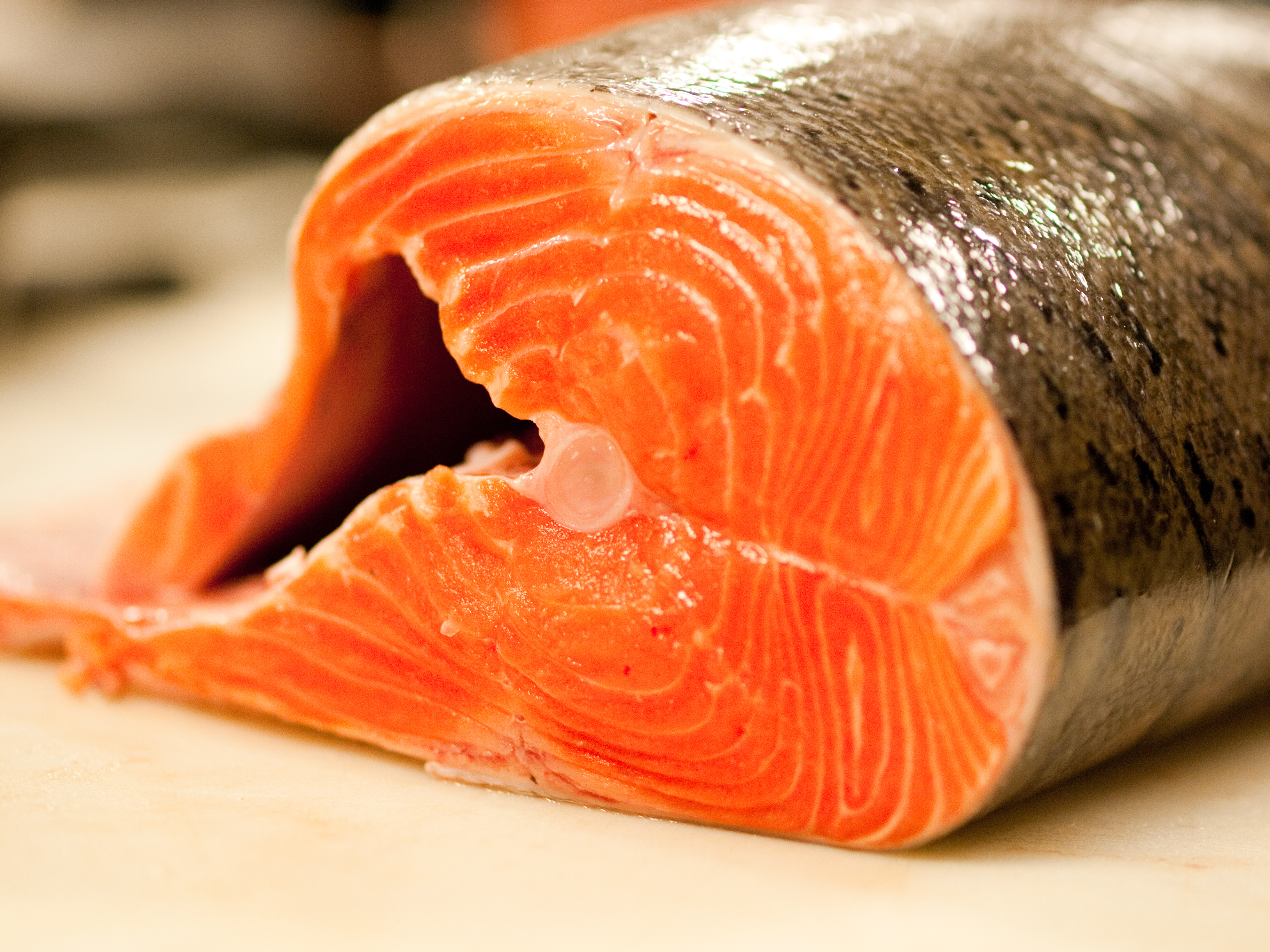 Суши семга форель красная рыба без смс